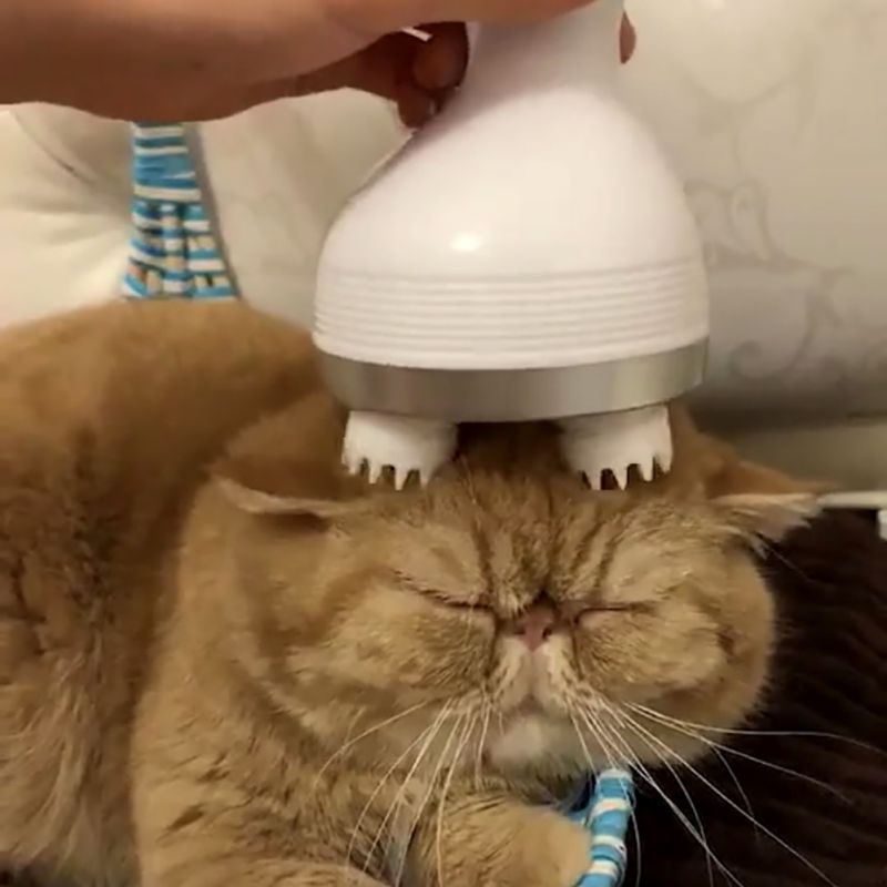 Pet Intelligent Charging Massager